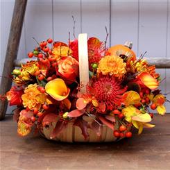 Autumnal Glory in a Basket 