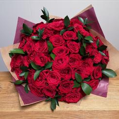 Luxury Collection - Carmen Red