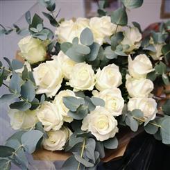 Luxury Collection -  White Sensation