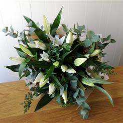 Apple Mint - White Lily