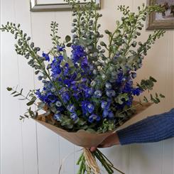 Luxury Collection - Simply Delphiniums