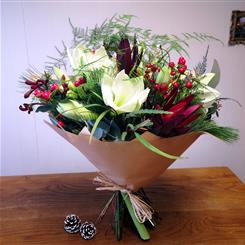 Luxury Collection - Amaryllis and Berries