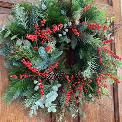 Scarlet Frost Christmas Wreath