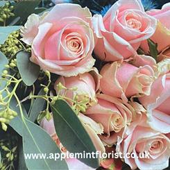 Pastel Complementary Blank Message Card